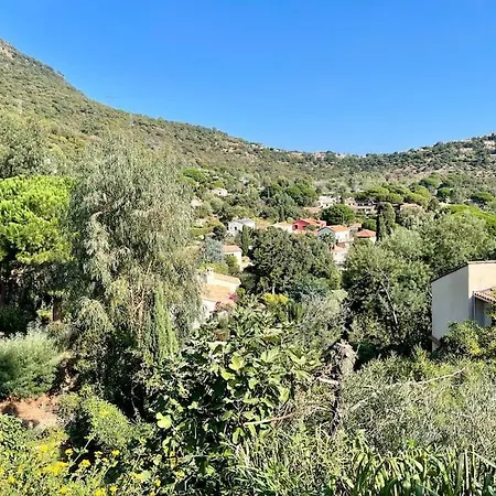Luxueuse & Calme Avec Piscine * Cavalaire-sur-Mer